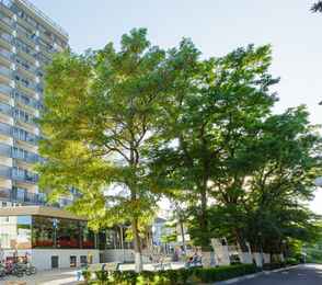 Курортный отель «Анапа-Океан», фото 29