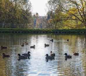 Санаторий «Валуево», фото 47