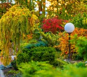 Санаторий «Радуга», фото 84