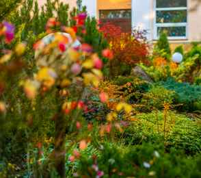 Санаторий «Радуга», фото 86