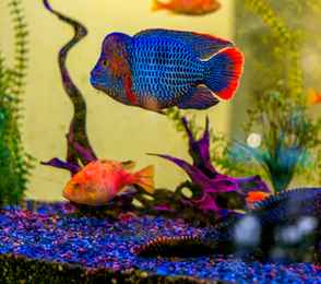 Санаторий «Радуга», фото 98