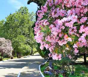 Санаторий «Магадан», фото 4