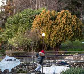 Санаторий «Магадан», фото 7