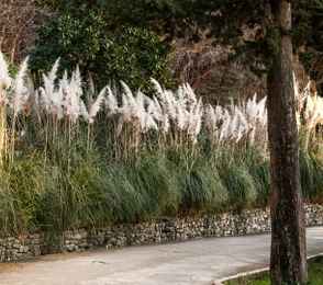 Санаторий «Магадан», фото 8