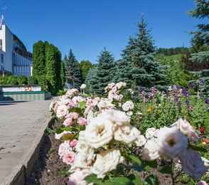 Санаторий «Вилла Арнест», фото 36