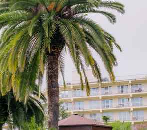 Санаторий «Зеленая роща», фото 38