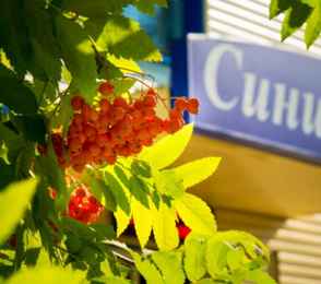 Санаторий «Синий утес», фото 4