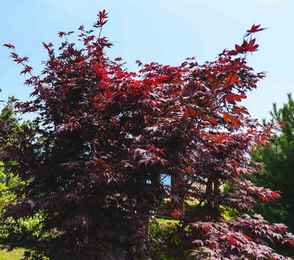 Отель «Крымский Бриз Hotel & Villas», фото 25