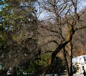 Санаторий «Плаза СПА», Железноводск, фото 24