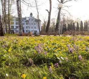 Санаторий им. Дзержинского, фото 6