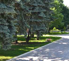 Санаторий «Казахстан», фото 41