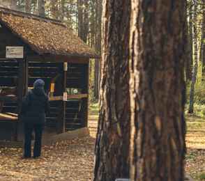 Санаторий «Сибиряк», фото 85