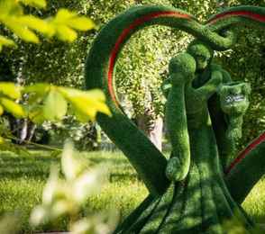 Санаторий «Зеленая роща», фото 19