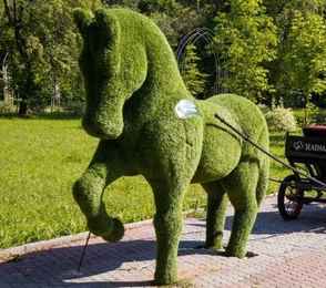 Санаторий «Зеленая роща», фото 21