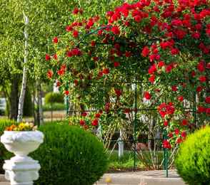 Санаторий «Сакрополь», фото 73