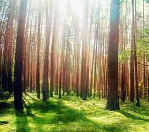 Курорт «Ангара», фото 27