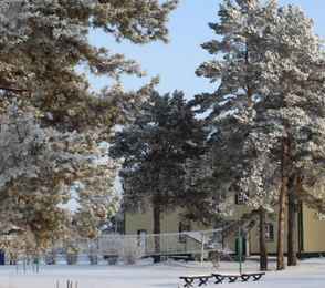 Санаторий «Сосновый бор», фото 2