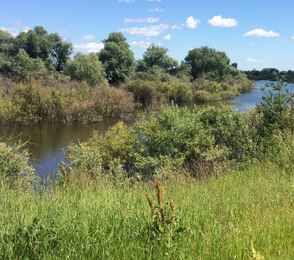 Санаторий «Сосновый бор», фото 12