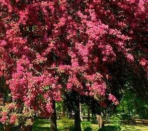 Санаторий «Красный холм», фото 9