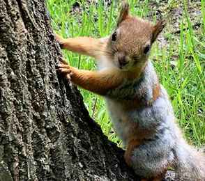 Санаторий «Красный холм», фото 15