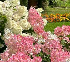 Санаторий «Красный холм», фото 24