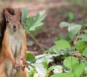 Санаторий «Ерино», фото 56