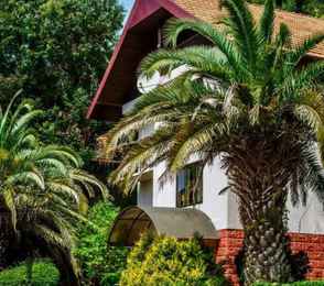 Оздоровительный комплекс «Дивный», фото 39