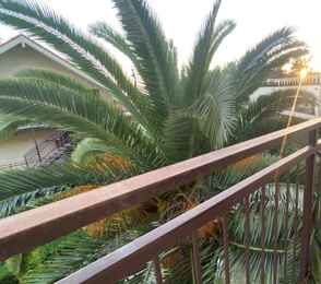 Оздоровительный комплекс «Дивный», фото 60