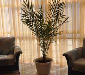 Санаторий «ДиЛУЧ», фото 84