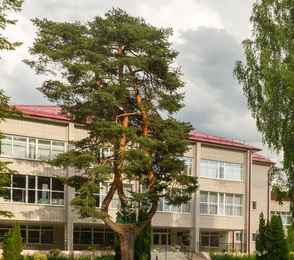 Санаторий имени Воровского, фото 2