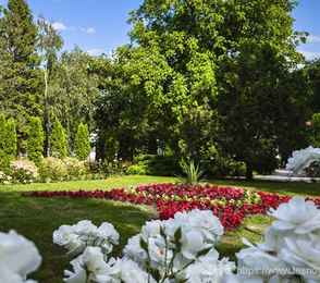 Санаторий «Лесной», фото 22