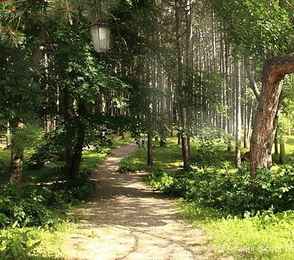 Санаторий «Лесной», фото 26