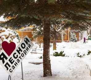 Санаторий «Лесной», фото 30