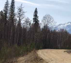 Пансионат «Энергетик», фото 13