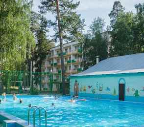 Санаторий «Васильевский»