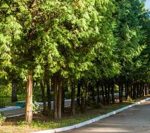 Санаторий «Васильевский», фото 9