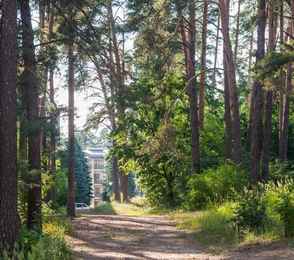 Санаторий «Васильевский», фото 12