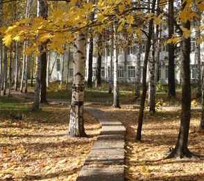 Санаторий «Васильевский», фото 58