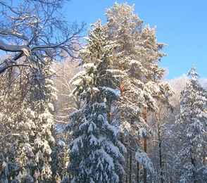 Санаторий «Васильевский», фото 59