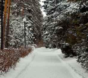 Санаторий «Васильевский», фото 67