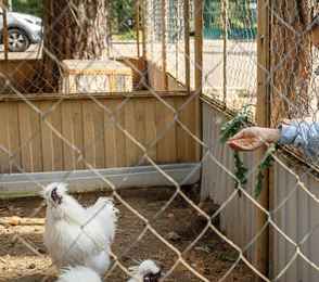 Санаторий «Васильевский», фото 75