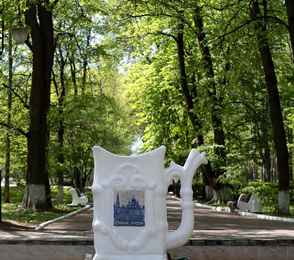 Санаторий АМАКС «Старая Русса», фото 20