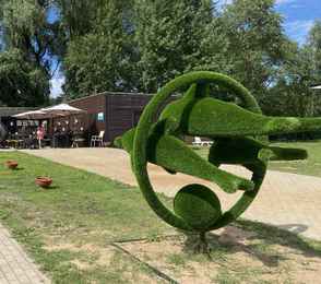 Санаторий АМАКС «Старая Русса», фото 25