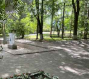 Санаторий АМАКС «Старая Русса», фото 56