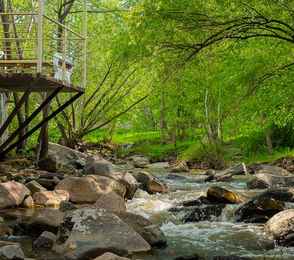 Санаторий «Долина Алтая», фото 9