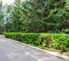 Санаторий «Жемчужина», фото 68