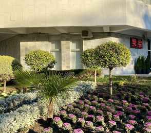 Санаторий «Голубая даль», фото 41