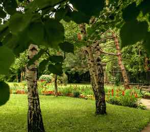 Санаторий «Джинал», фото 9