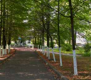 Санаторий «Автомобилист», фото 7