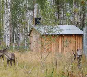 Санаторий «Автомобилист», фото 24